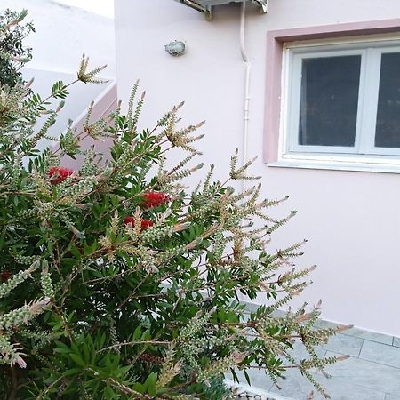 Andros Lighthouse Apartments Mesaria  Ngoại thất bức ảnh