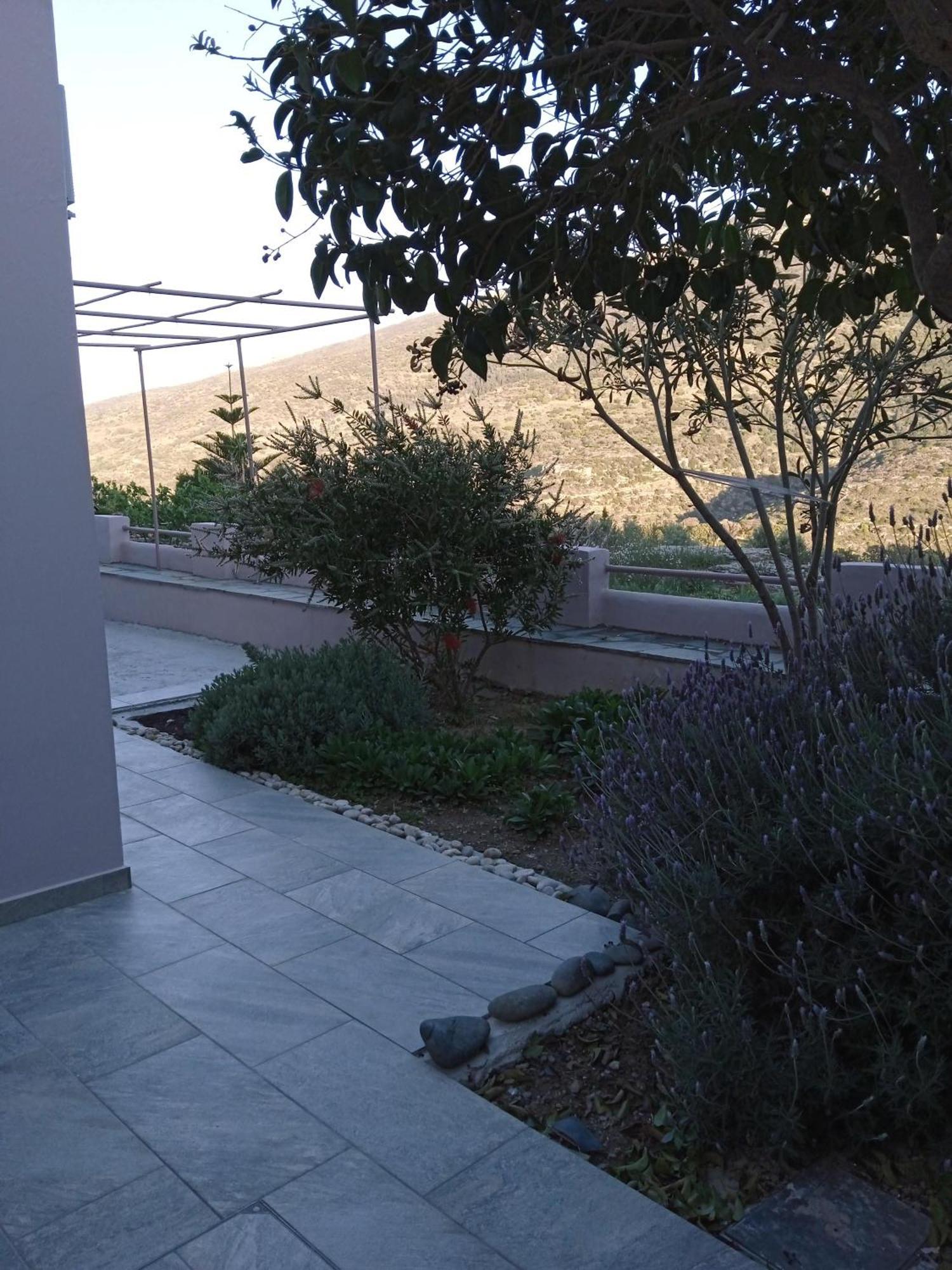 Andros Lighthouse Apartments Mesaria  Ngoại thất bức ảnh