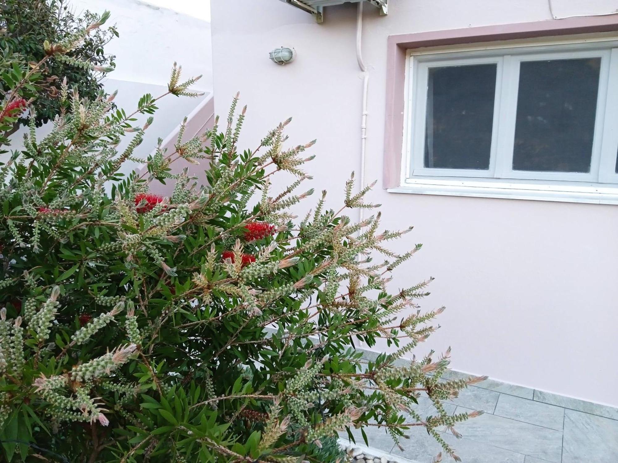Andros Lighthouse Apartments Mesaria  Ngoại thất bức ảnh